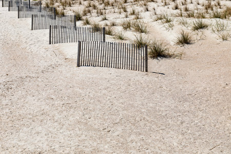 Short sections of erosion fence protecting dunes planted with sea grass, white sandy beach, creative copy space, horizontal aspectの写真素材