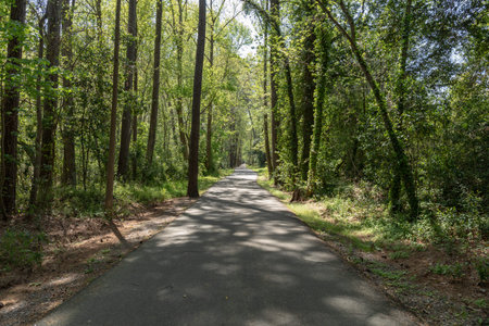 View down a long, straight stretch of public access bike and walking path, shade with dappled...