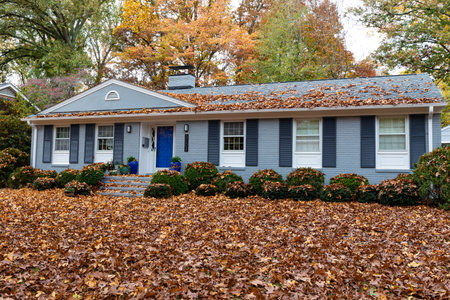 Ranch house and yard covered in a deep layer of fall leaves, leaf removal needed, horizontal aspectの写真素材