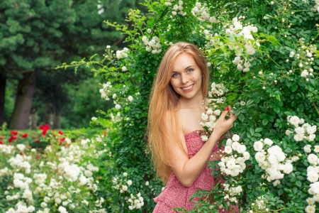 Woman stands near a garden of white rosesの写真素材