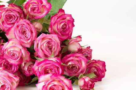 Postcard from live pink rosesの写真素材