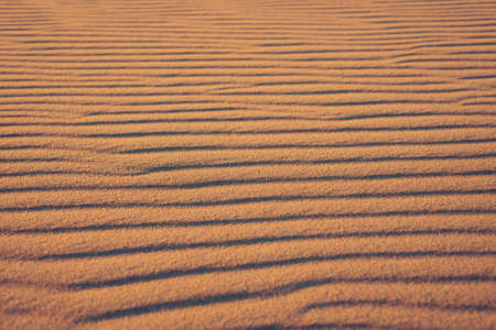 Striped pattern on a sand duneの写真素材