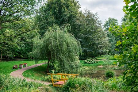 Landscaped park with a pondの写真素材