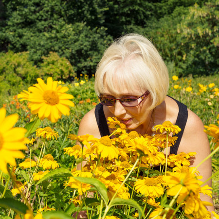 Woman sniffing flowers Heliopsis pensioner in the gardenの写真素材