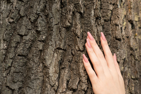 Female hand with long nails touching treeの写真素材