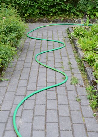 Water hose lying on the road in the gardenの写真素材