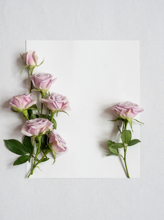 Festive greeting card with wild rosesの写真素材