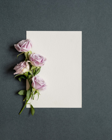 Festive greeting card with wild rosesの写真素材