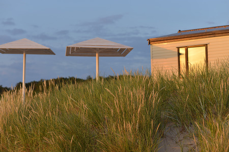Wooden beach umbrellas in the grass near the houseの写真素材