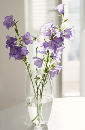 Flowers lilac bells in a glass vase standの写真素材