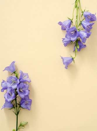 Flowers bells are on yellow paper, postcardの写真素材