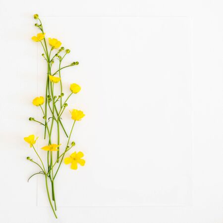 Postcard with fresh flowersの写真素材