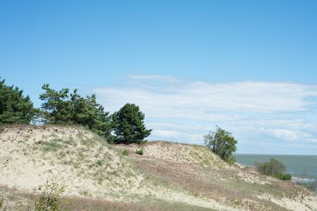 Landscape of the Curonian Spitの写真素材