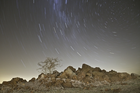 Star trails behind a dry thorn bush tree on a round rock hill in a desert landscape の写真素材