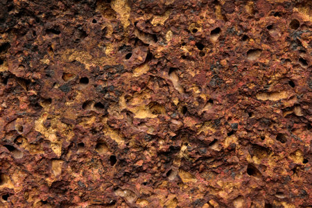 Natural pattern for background,others.の写真素材