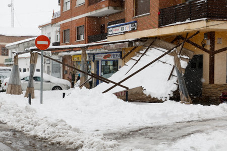Trees and branches fall to the ground from the weight of snow. The storm Filomena leaves half a meter of snow in Madridのeditorial素材