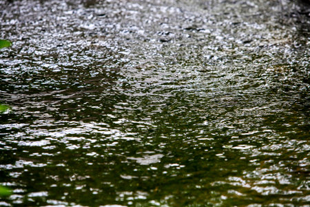 water ripplesの写真素材