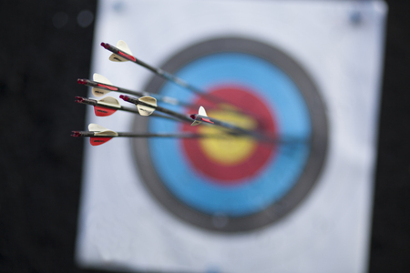 archery targetの写真素材