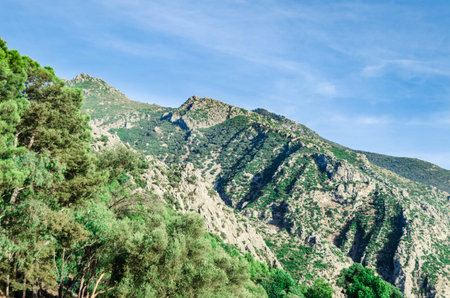 landscape of mountain with trees in foreground and blue sky, chefchaouen, moroccoの写真素材