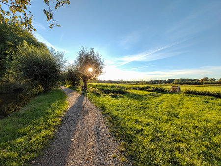 A diverse landscape in Delft and Delfgauw, with a late-summer blue sky and meadow fields.の写真素材