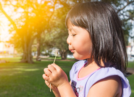 Little girl enjoy blowing dandelion in the parkの写真素材