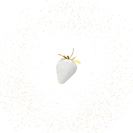 White Strawberry Floating In the Air. 3D Renderの写真素材