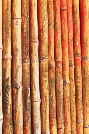 Bamboo has a row of old brownの写真素材