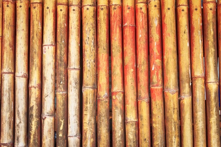 Bamboo has a row of old brownの写真素材
