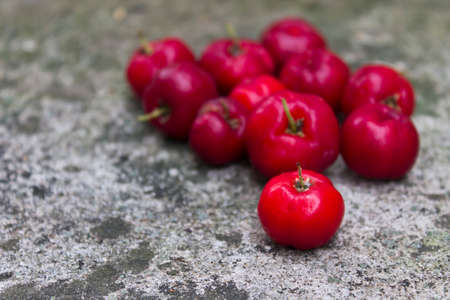 cherries on fallの写真素材