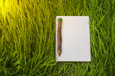 Blank books and pencil on green grass with copy space for textの写真素材