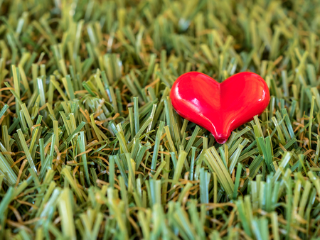 red heart on green grassの写真素材