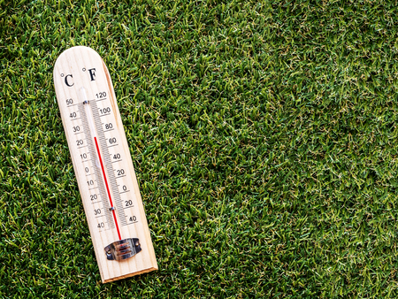 thermometer on grassの写真素材
