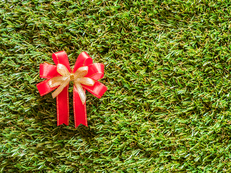 ribbon on green grassの写真素材