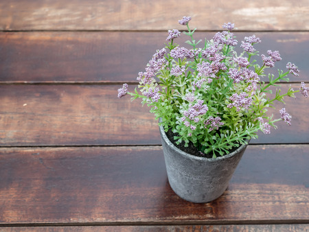 flower bouquet on wood table backgroundの写真素材