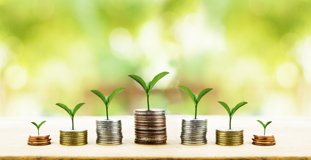 Coins and money growing plant for finance and banking conceptの写真素材