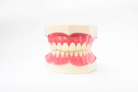 close up dentistry instruments and dental hygienist checkup concept with teeth model oral healthcare on white backgroundの写真素材