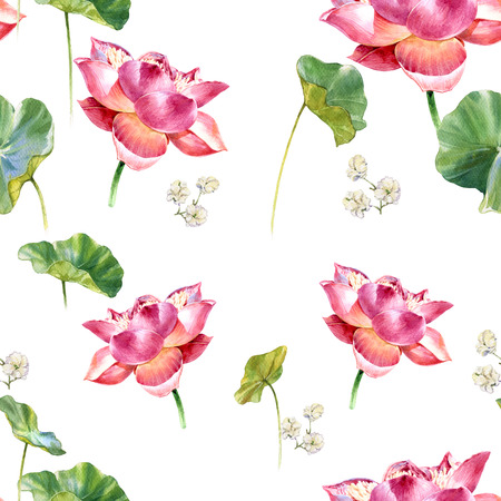 Watercolor illustration painting of leafs and lotus , seamless pattern on white backgroundの写真素材