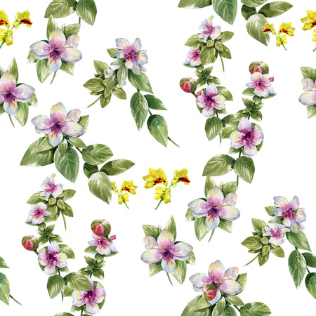 Watercolor painting of leaf and flowers, seamless pattern on white backgroundの写真素材