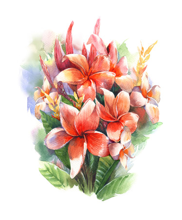 watercolor painting of leaves and flower, on white backgroundの写真素材