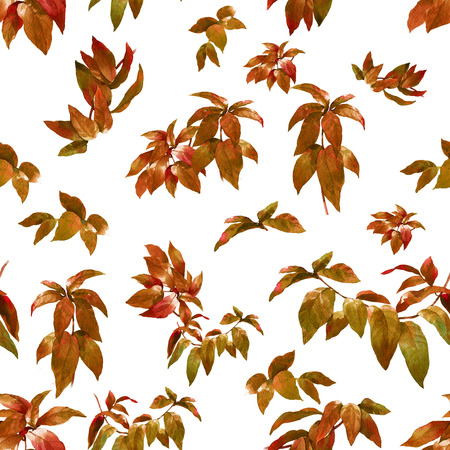 Watercolor illustration of leaf, seamless pattern on white backgroundの写真素材
