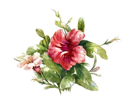 watercolor painting of leaves and flower, on white backgroundの写真素材