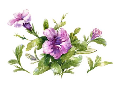 watercolor painting of leaves and flower, on white backgroundの写真素材