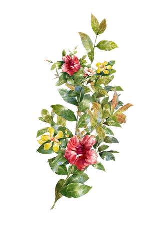 watercolor painting of leaves and flower, on white backgroundの写真素材