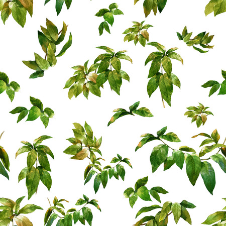 Watercolor illustration of leaf, seamless pattern on white backgroundの写真素材