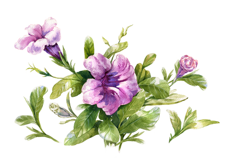 watercolor painting of leaves and flower, on white backgroundの写真素材