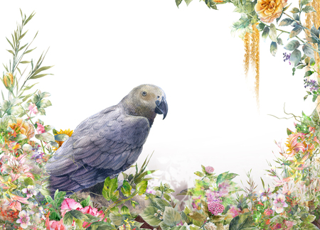 watercolor painting with bird and flowers, on white backgroundの写真素材