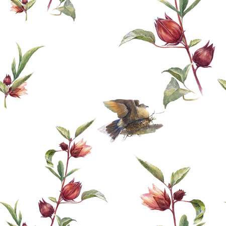 Watercolor painting with birds and flowers, seamless pattern on white backgroundの写真素材