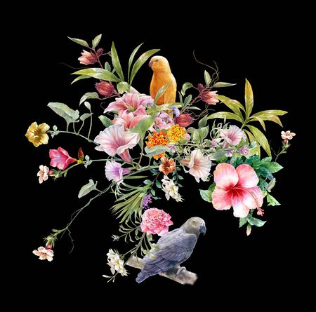 watercolor painting of bird and flower, on dark backgroundの写真素材