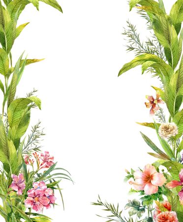 watercolor painting of leaves and flower, on white backgroundの写真素材