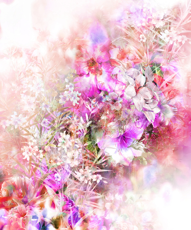 Watercolor painting of flower, rose on white backgroundの写真素材